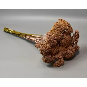Achillea falfestékes cappuccino 0,2kg/cs