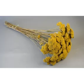 Achillea natúr 0,2kg/cs