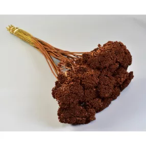 Achillea prep. barna 0,2kg/cs