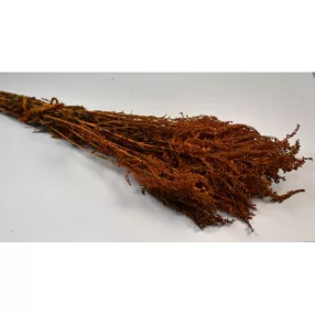 Aranyvessző prep. narancs 0,1kg/cs