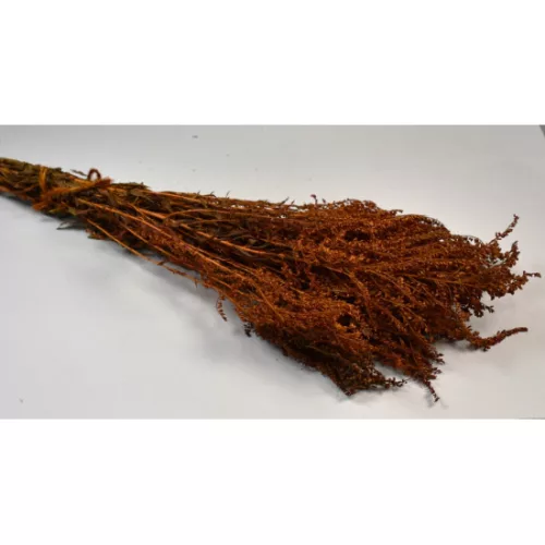 Aranyvessző prep. narancs 0,1kg/cs