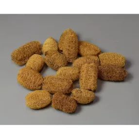 Luffa mini mini natúr 14db/cs