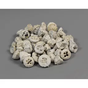Eukalyptus gomb falfestékes fehér 0,25kg/cs