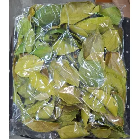 Bársony levél mohazöld 0,1kg/cs