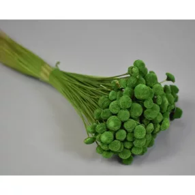 Pavao 80g söt.zöld 0,08Kg/cs