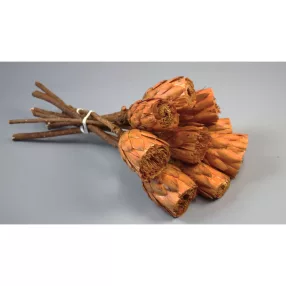 Protea vágott narancs 6db/cs