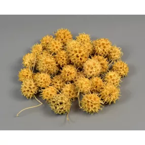 Ámbrafa termés fehérített 0.075 kg/cs