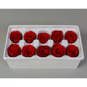 Örökrózsa 4cm piros 10db/doboz