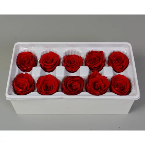 Örökrózsa 4cm piros 10db/doboz