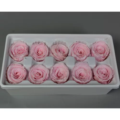 Örökrózsa 4cm rózsaszín 10db/doboz