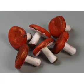 Betűző gomba piros 5,1cm 10db/cs