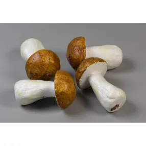 Betűző gomba vargánya 6cm barna 4db/cs