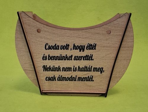 Lapraszerelt ridikül, Barna Deszkás alap Csoda volt, hogy éltél….	1szett	széleség 19 cm  magasság 14cm mélység 7,5cm anyag  vastagság 2,5mm			