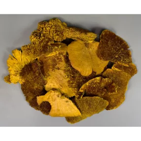 Tapló feh.sárga 0,15Kg/cs
