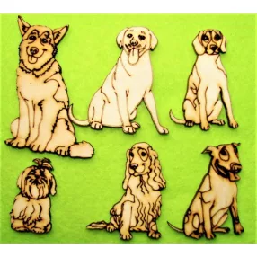   Natúr fa Kutya csomag 2	  6 db/csomag	4,5-7,5cmMagasság 2,5-5,7cm