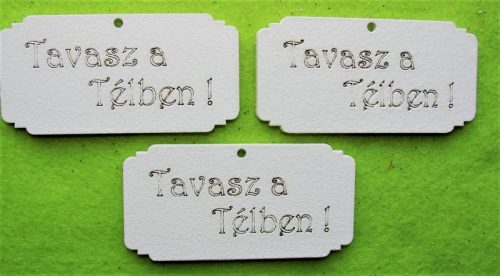 Fehér fa Tavasz a Télben !	3db/csomag	8x4cm 