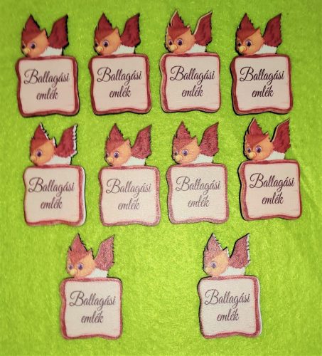 Nyomtatott  Kicsi Farönk Bagollyal Ballagási emlék	10db/csomag	5x3cm 