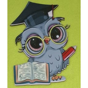    Nyomtatott fa Bagoly könyvel ,piros ceruzával 	1db/csomag	10x12cm  