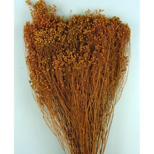 Broom Bloom 100g barna