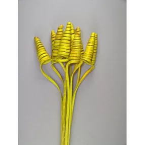 Cane Cone feh.sárga 8db/cs