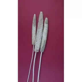 Babala falfestékes fehér 10db/cs