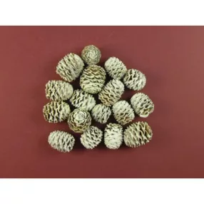 Meridianum falfestékes fehér 0,16kg/cs