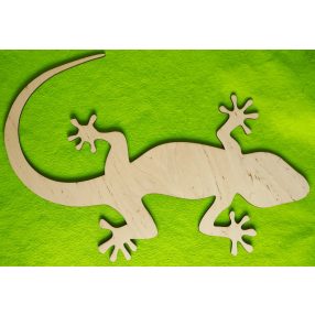 Natúr fa Gekkó	1  db	50x48cm