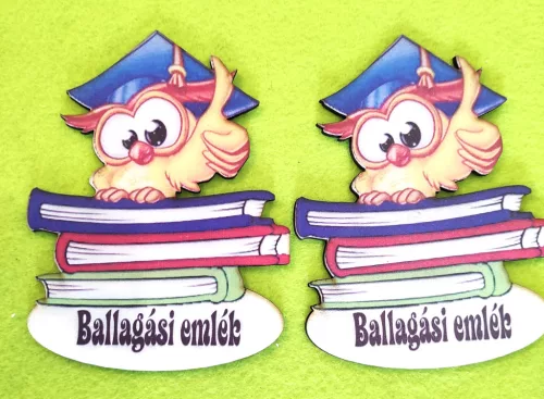  Nyomtatott fa Nagy szemű bagoly Ballagási emlék Felirattal	2db/csomag	9x12cm 