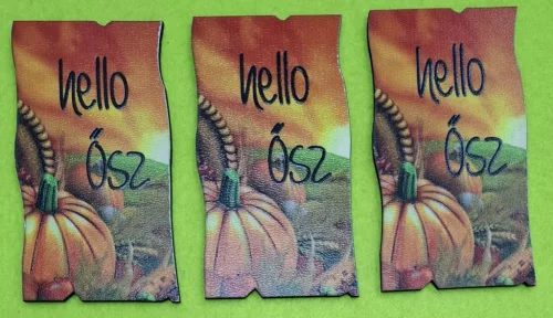 Nyomtatott ,fa alapú HDF(nem tömörfa) Narancssárga  színü   ,Nyír rétegelt lemezháttér tökkőkel hello Ősz   Felirattal	3db/ csomag 	5,5x9,5cm 