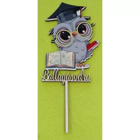   Nyomtatott fa Beszúrós Bagoly könyvel ,piros ceruzával Ballagásodra felirattal	1db/csomag	8x18cm  