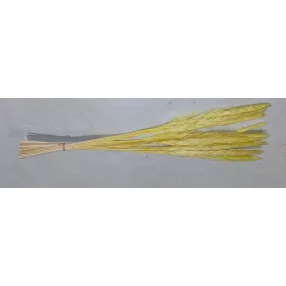    Mini pampafű Citrosárga  színű,  fa alapú HDF(nem tömörfa)    60cm hosszú 20-24 cm buga 15db/cs 