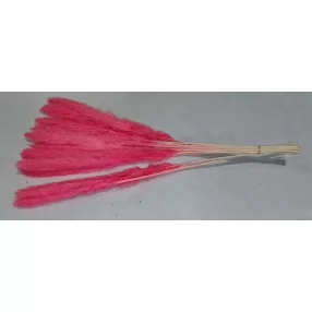    Mini pampafű Pink  színű  fa alapú HDF(nem tömörfa)  60cm hosszú 20-24 cm buga 15db/cs 