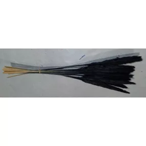    Mini pampafű Fekete színű,60cm hosszú 20-24 cm buga 15db/cs 